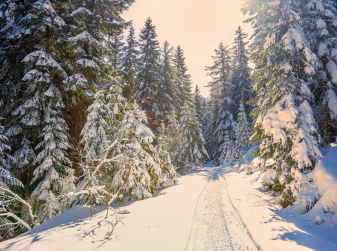 Где в Испании искать снег? Гайд по горнолыжным курортам