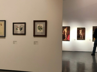 Статья 11. Lorem Ipsum является стандартной рыбой для текстов на латинице с начала XVI века.