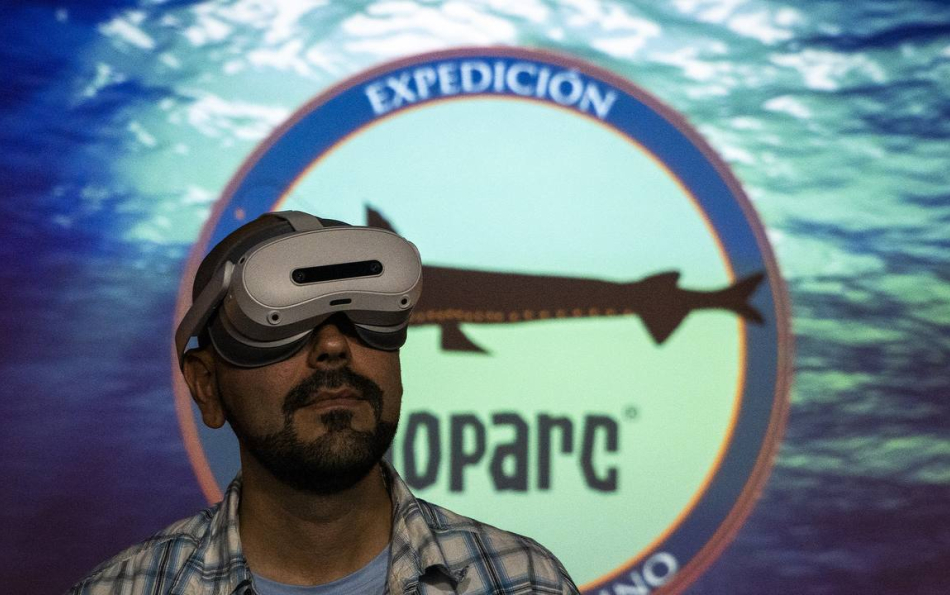 В Биопарке появился VR-фильм про глубины океана